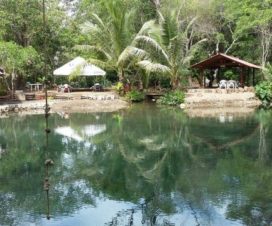 Balneario Agua Azul Puebla | El Rincón De Edy