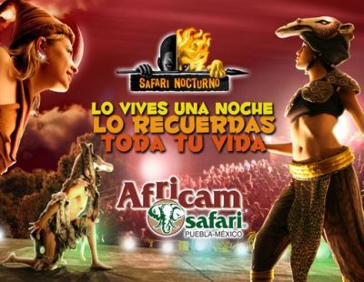 africam safari nocturno 2022