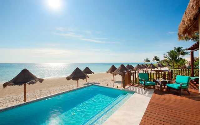 pet friendly hotels in playa del carmen