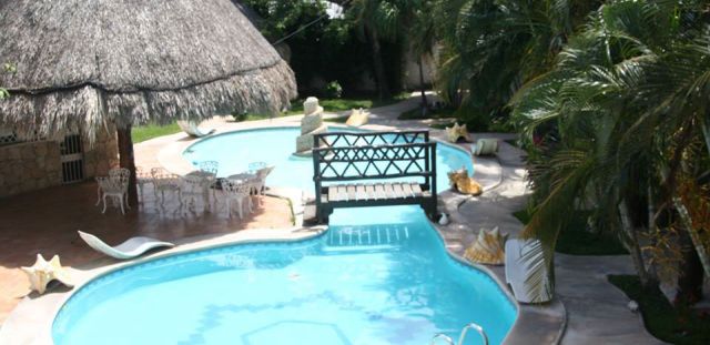 pet friendly playa del carmen