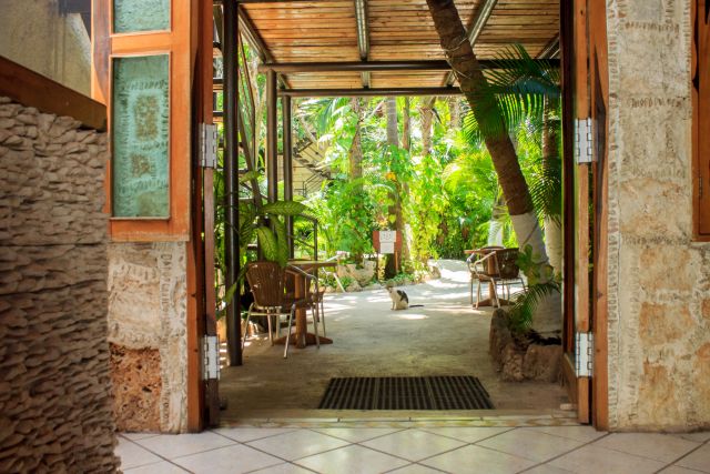 pet friendly playa del carmen