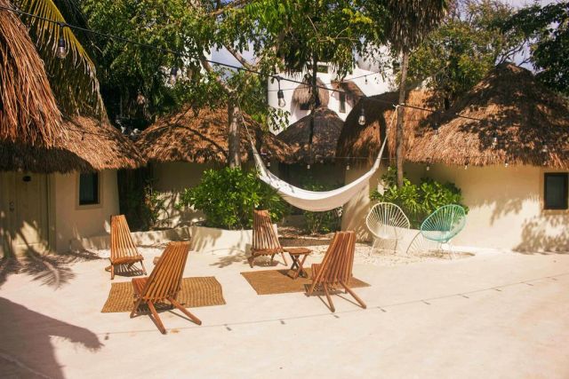 Pet friendly hotels in playa del carmen grand oasis palm cancun all inclusive